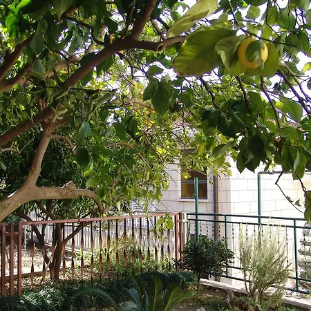 Apartment Davor Gradac  Room photo