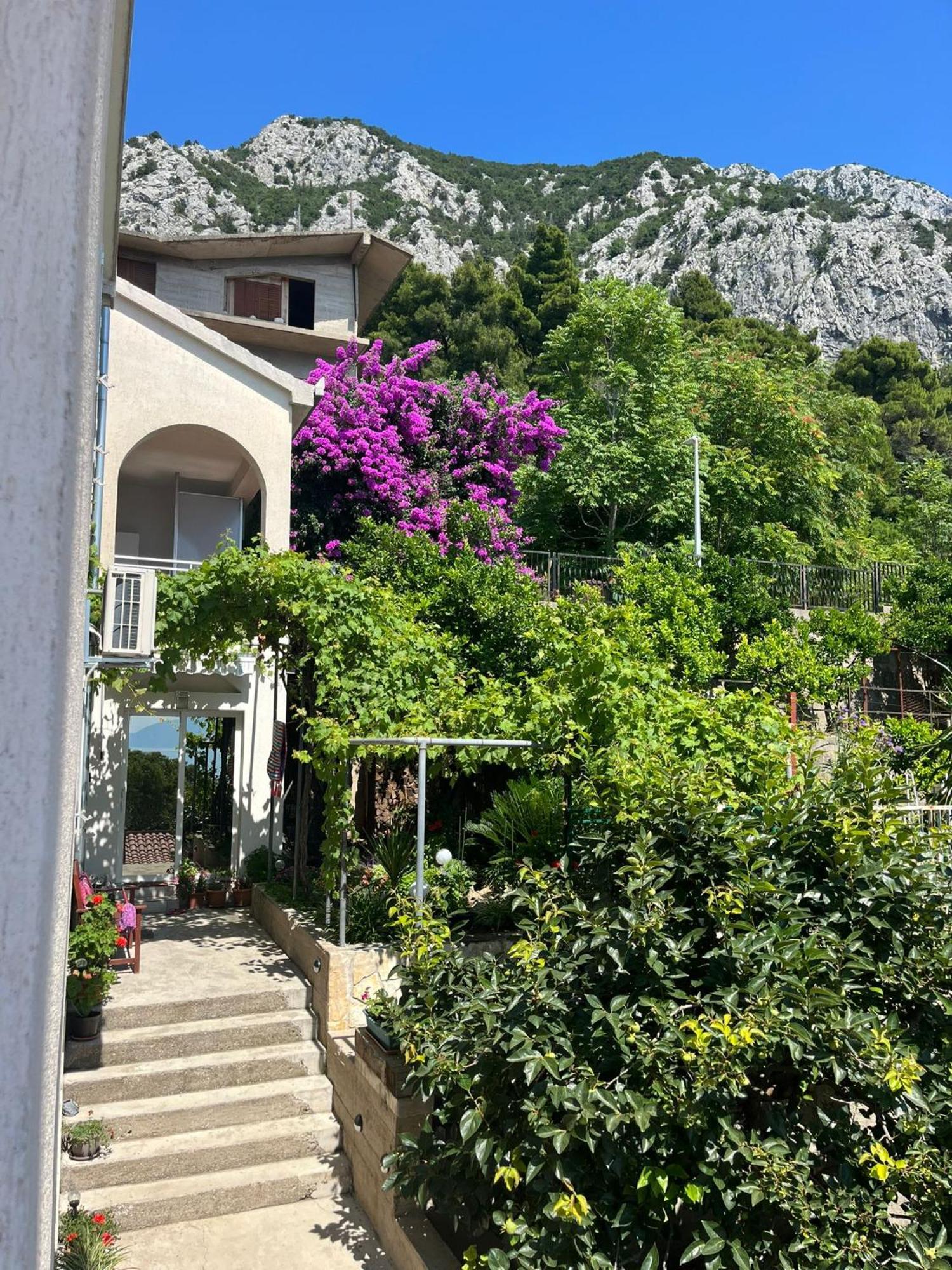 Davor Apartment Gradac (Split-Dalmatia)